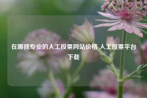 在哪找专业的人工投票网站价格 人工投票平台下载