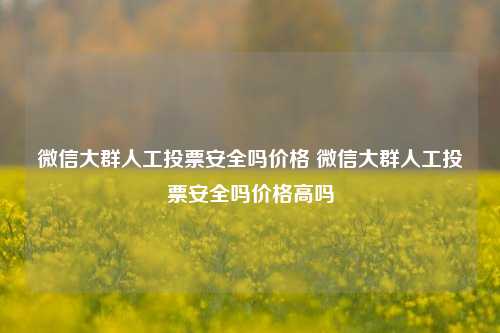 微信大群人工投票安全吗价格 微信大群人工投票安全吗价格高吗