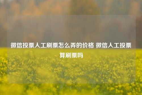 微信投票人工刷票怎么弄的价格 微信人工投票算刷票吗