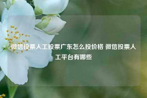 微信投票人工投票广东怎么投价格 微信投票人工平台有哪些