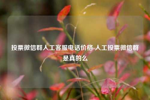 投票微信群人工客服电话价格 人工投票微信群是真的么