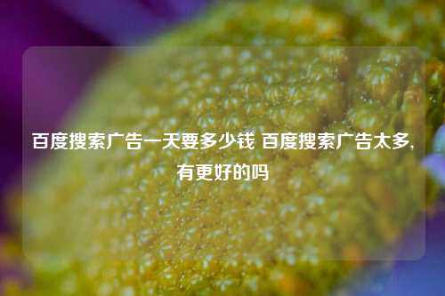 百度搜索广告一天要多少钱 百度搜索广告太多,有更好的吗