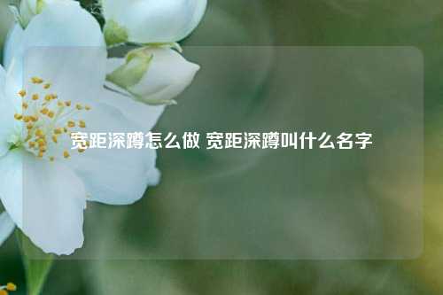 宽距深蹲怎么做 宽距深蹲叫什么名字