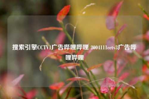 搜索引擎CCTV1广告哔哩哔哩 2004111cctv3广告哔哩哔哩