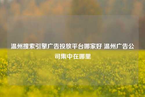 温州搜索引擎广告投放平台哪家好 温州广告公司集中在哪里