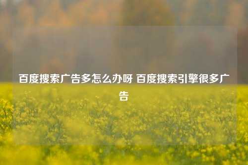 百度搜索广告多怎么办呀 百度搜索引擎很多广告