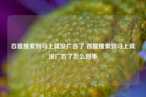 百度搜索到马上就没广告了 百度搜索到马上就没广告了怎么回事