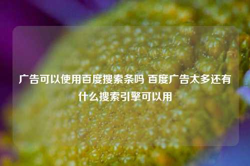 广告可以使用百度搜索条吗 百度广告太多还有什么搜索引擎可以用