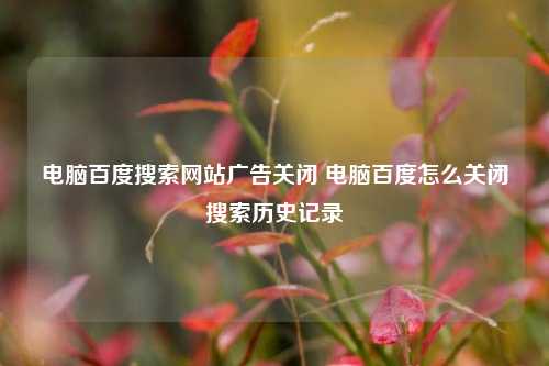 电脑百度搜索网站广告关闭 电脑百度怎么关闭搜索历史记录