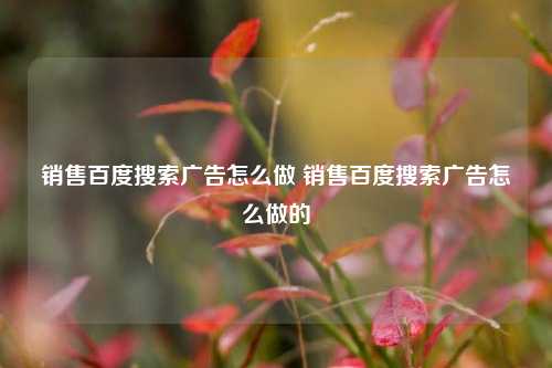 销售百度搜索广告怎么做 销售百度搜索广告怎么做的