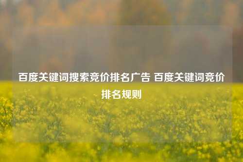 百度关键词搜索竞价排名广告 百度关键词竞价排名规则