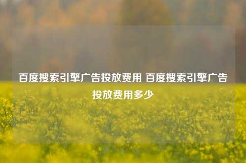 百度搜索引擎广告投放费用 百度搜索引擎广告投放费用多少