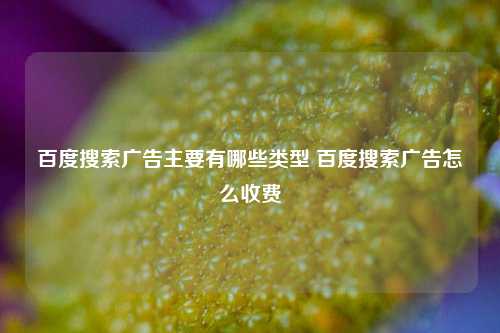 百度搜索广告主要有哪些类型 百度搜索广告怎么收费