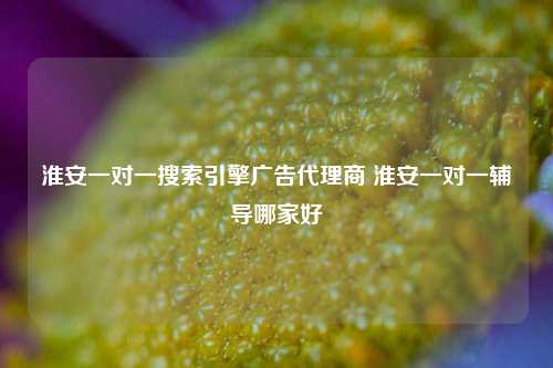 淮安一对一搜索引擎广告代理商 淮安一对一辅导哪家好