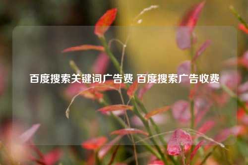 百度搜索关键词广告费 百度搜索广告收费