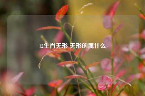 12生肖无形 无形的属什么