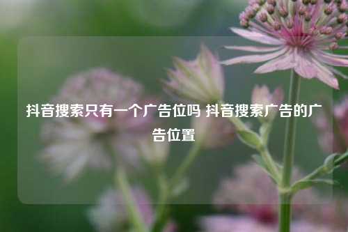 抖音搜索只有一个广告位吗 抖音搜索广告的广告位置