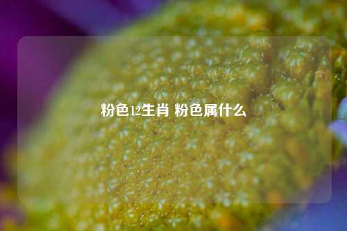 粉色12生肖 粉色属什么