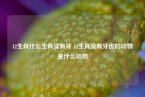 12生肖什么生肖没有牙 12生肖没有牙齿的动物是什么动物