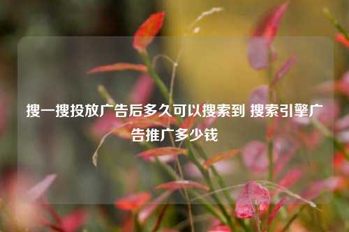 搜一搜投放广告后多久可以搜索到 搜索引擎广告推广多少钱