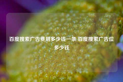 百度搜索广告费用多少钱一条 百度搜索广告位多少钱