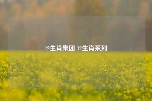 12生肖集团 12生肖系列