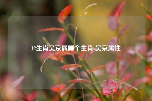 12生肖吴京属哪个生肖 吴京属性