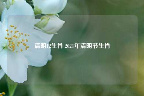 清明12生肖 2021年清明节生肖