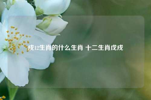 戍12生肖的什么生肖 十二生肖戊戌