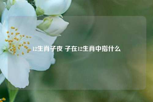 12生肖子夜 子在12生肖中指什么