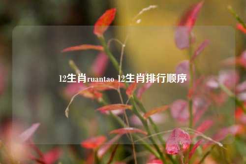 12生肖ruantao 12生肖排行顺序