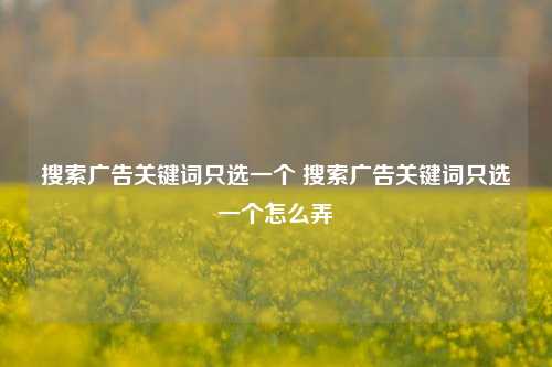 搜索广告关键词只选一个 搜索广告关键词只选一个怎么弄