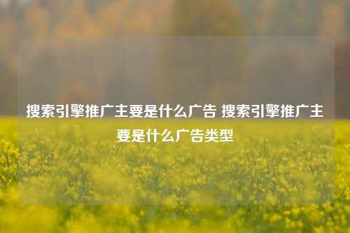 搜索引擎推广主要是什么广告 搜索引擎推广主要是什么广告类型