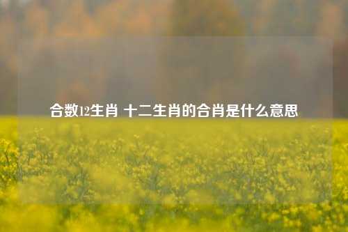 合数12生肖 十二生肖的合肖是什么意思