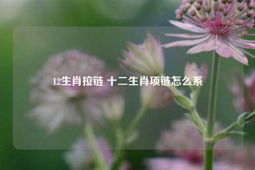 12生肖拉链 十二生肖项链怎么系