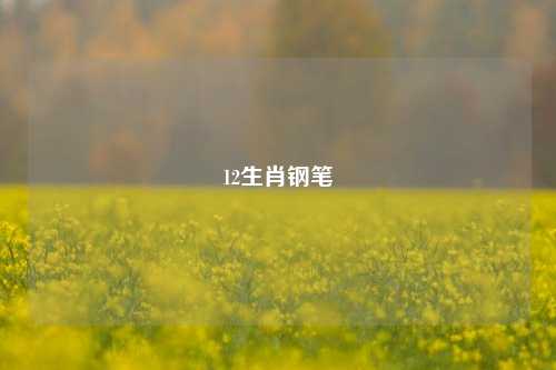 12生肖钢笔