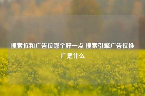 搜索位和广告位哪个好一点 搜索引擎广告位推广是什么