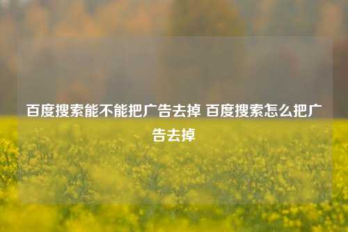 百度搜索能不能把广告去掉 百度搜索怎么把广告去掉