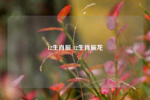 12生肖辰 12生肖辰龙