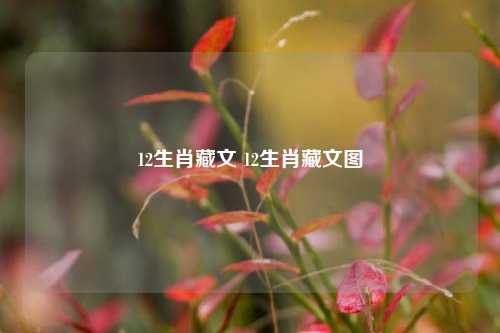 12生肖藏文 12生肖藏文图