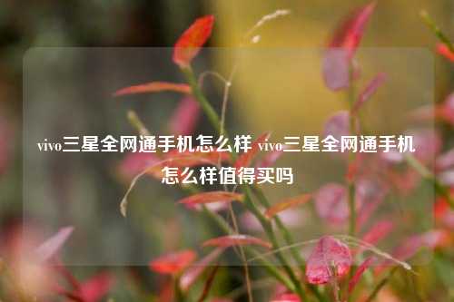 vivo三星全网通手机怎么样 vivo三星全网通手机怎么样值得买吗