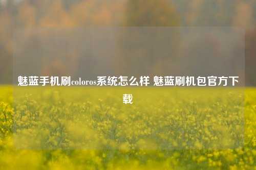 魅蓝手机刷coloros系统怎么样 魅蓝刷机包官方下载