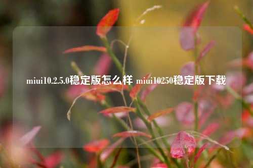 miui10.2.5.0稳定版怎么样 miui10250稳定版下载