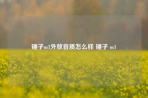 锤子m1外放音质怎么样 锤子 m1