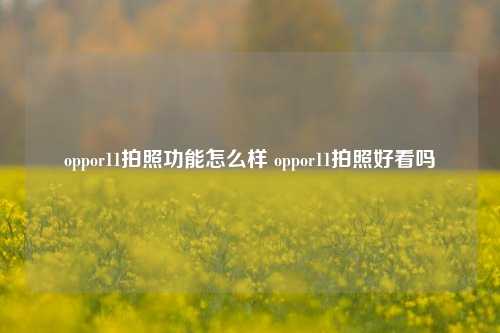 oppor11拍照功能怎么样 oppor11拍照好看吗