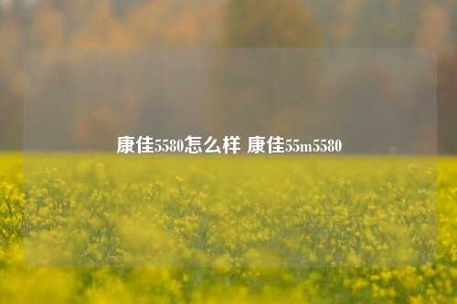 康佳5580怎么样 康佳55m5580