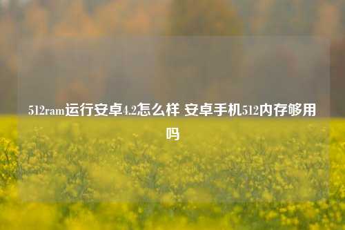 512ram运行安卓4.2怎么样 安卓手机512内存够用吗