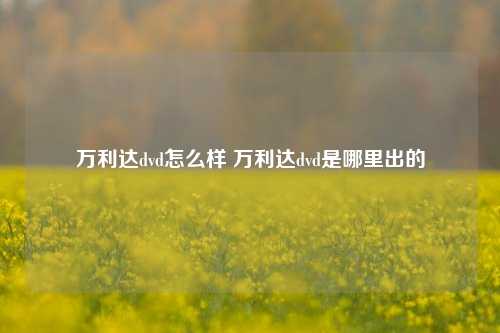 万利达dvd怎么样 万利达dvd是哪里出的