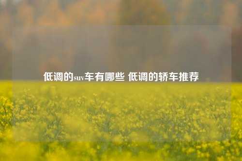 低调的suv车有哪些 低调的轿车推荐