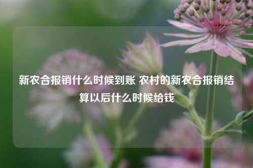 新农合报销什么时候到账 农村的新农合报销结算以后什么时候给钱